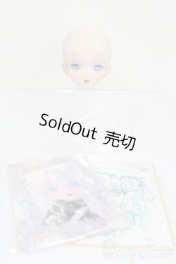 画像5: DD/DDH-10 MITAN様カスタムヘッド S-25-12-21-384-GN-ZS