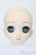 DD/DDH-06カスタムヘッド S-25-08-10-016-YB-ZS