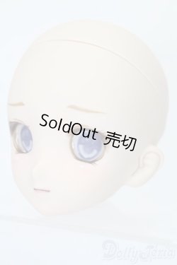 画像2: DD/DDH-06カスタムヘッド S-26-01-18-364-YB-ZS