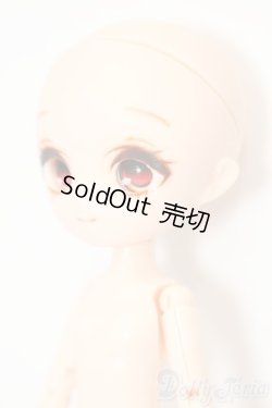 画像2: パラボックル/lボックルヘッド・ボディ S-26-05-24-392-TO-ZS