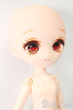 画像3: パラボックル/lボックルヘッド・ボディ S-25-08-10-018-TO-ZS