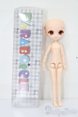 画像5: パラボックル/lボックルヘッド・ボディ S-25-08-10-018-TO-ZS