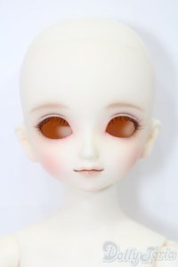 SDMGIRL/コーディネートモデル:F-96ヘッド S-25-08-10-005-TO-ZS