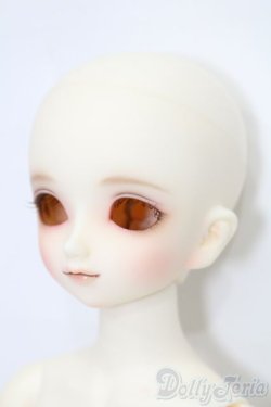 画像2: SDMGIRL/コーディネートモデル:F-96ヘッド S-25-08-10-005-TO-ZS