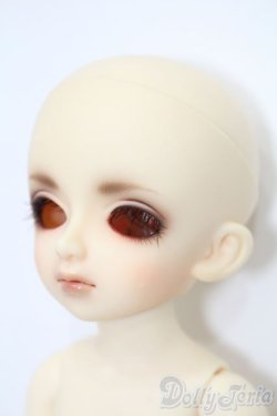 画像4: 幼SD/ピッコロ 2nd. Makeup ver. S-25-09-28-422-TO-ZS