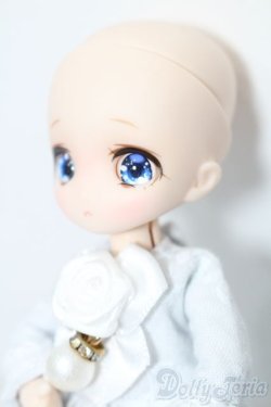 画像3: ミニスウィーツドール/サマーセルフィーユ S-25-08-10-119-TO-ZS