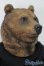 画像3: Mr.Z/POCKET ZOOTOPIA Top Bear S-25-08-10-107-TO-ZS