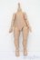 画像1: IMOMODOLL/1/6ボディ S-25-08-10-203-TO-ZS (1)