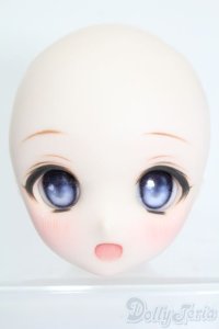 DD/DDH-01 Fantastic World様製カスタムヘッド S-25-08-17-028-TO-ZS