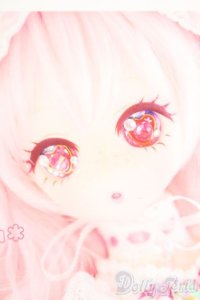 DDH-01/カスタムヘッド:ぷりまび様製 S-25-08-17-030-TO-ZS