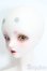 画像3: Gem of Doll/Olita Animal Ver.  S-25-08-17-012-SK-ZS