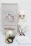 画像8: ADVillage/Sweet Dream Pajama Series-Milky Taro Bear S-25-08-17-002-SK-ZS