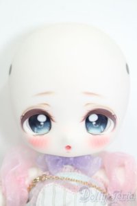 ADVillage/Macarons S-25-08-17-006-SK-ZS