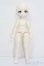 画像5: TinyFox/Dopey S-25-08-17-003-SK-ZS