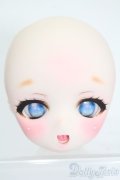 DD/DDH-01:カスタムヘッド S-25-08-17-031-SK-ZS
