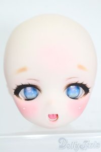 DD/DDH-01:カスタムヘッド S-25-08-17-031-SK-ZS