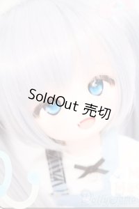 DD/DDH-01:Miel☆Magical様カスタム S-25-10-05-312-SK-ZS