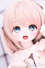 DD/DDH-27:船長様カスタム S-25-08-17-017-SK-ZS