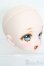 画像4: DD/DDH-27:船長様カスタム S-25-08-17-017-SK-ZS (4)