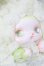 画像3: CQTOYS×LOLOAN(ロロアン) デザートシリーズ S-25-08-17-193-SK-ZS (3)