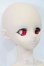 画像4: DD/綾波レイ S-25-08-17-104-TO-ZS
