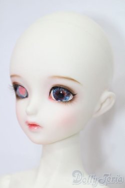 画像2: Dikadoll/Canary S-25-08-17-103-TO-ZS