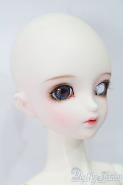 画像3: Dikadoll/Canary S-25-11-23-601-TO-ZS