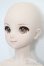 画像3: DD/MEIKO S-25-08-24-003-TO-ZS