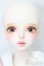 画像2: MYOU DOLL/櫻Michelle 2022 Limited S-25-08-24-005-TO-ZS (2)