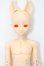 画像1: elfinstore/ノアS S-25-08-24-006-YB-ZS (1)