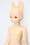 画像2: elfinstore/ノアS S-25-08-24-006-YB-ZS (2)