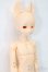 画像3: elfinstore/ノアS S-25-08-24-006-YB-ZS