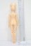 画像5: elfinstore/ノアS S-25-08-24-006-YB-ZS