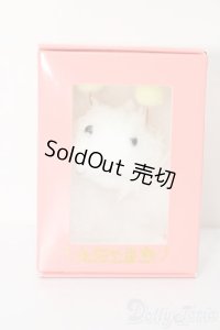 DD/OF:小物 S-25-08-24-075-TO-ZS