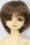 画像1: MSD/健 S-25-08-24-002-TO-ZS (1)
