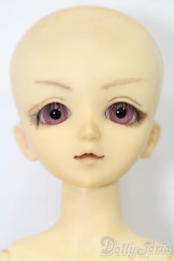 画像2: MSD/健 S-25-08-24-002-TO-ZS
