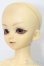 画像3: MSD/健 S-25-08-24-002-TO-ZS