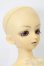 画像4: MSD/健 S-25-08-24-002-TO-ZS