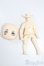 画像1: ねんどろいどどーる/ヘッド・ボディ S-25-08-24-148-TO-ZS (1)