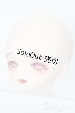 画像3: DD/DDH-01(モモハトっ子様製カスタム) S-25-08-31-025-TO-ZS