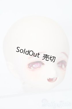 画像4: DD/DDH-01(モモハトっ子様製カスタム) S-25-08-31-025-TO-ZS