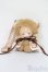 画像2: PENNY'S BOX/ANTU(アンティーユ):可愛いプチ ブラインドぬいぐるみ シリーズ S-25-08-31-067-TO-ZS (2)