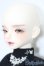 画像4: Mystic Kids/化蝶世フルセット S-25-08-31-007-TO-ZS
