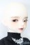 画像5: Mystic Kids/化蝶世フルセット S-25-08-31-007-TO-ZS