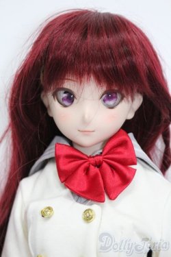 画像1: DD/DDH-07ヘッド+DD-f3ボディ S-25-08-31-106-TO-ZS