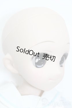 画像4: DD/DDH-04ヘッド+MDDボディ S-26-04-26-377-TO-ZS