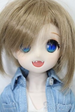画像1: DD/DDH-04ヘッド+MDDボディ S-25-09-21-051-TO-ZS