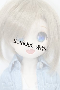 画像1: DD/DDH-04ヘッド+MDDボディ S-25-11-23-693-TO-ZS