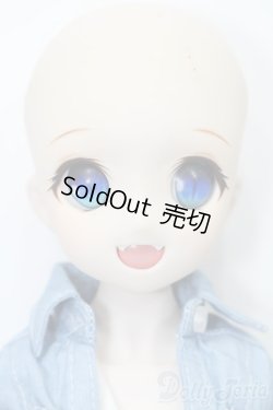 画像2: DD/DDH-04ヘッド+MDDボディ S-25-11-23-693-TO-ZS