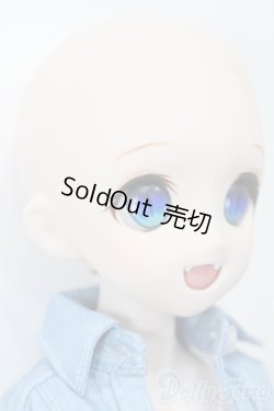 画像4: DD/DDH-04ヘッド+MDDボディ S-25-11-23-693-TO-ZS